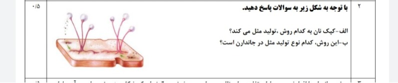 دریافت سوال 3