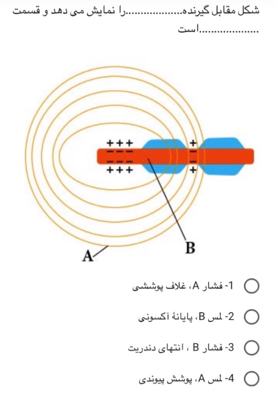 دریافت سوال 3