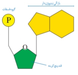 دریافت سوال 13