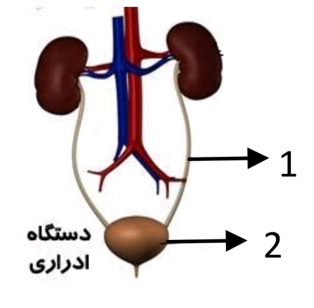 دریافت سوال 32