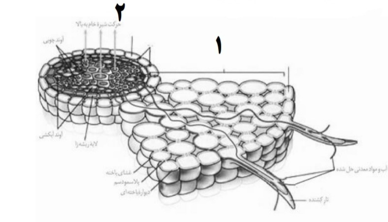 دریافت سوال 28