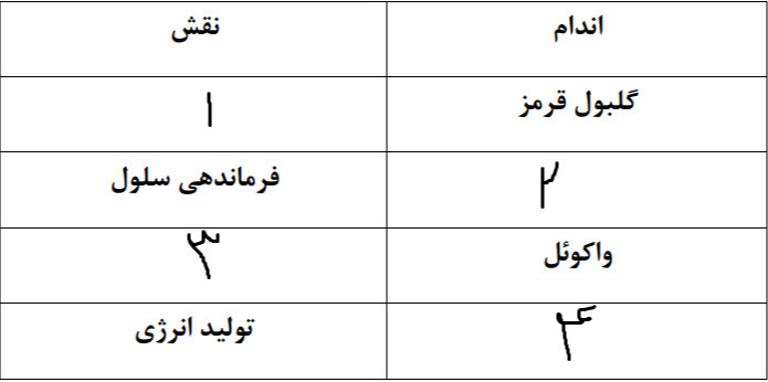 دریافت سوال 10