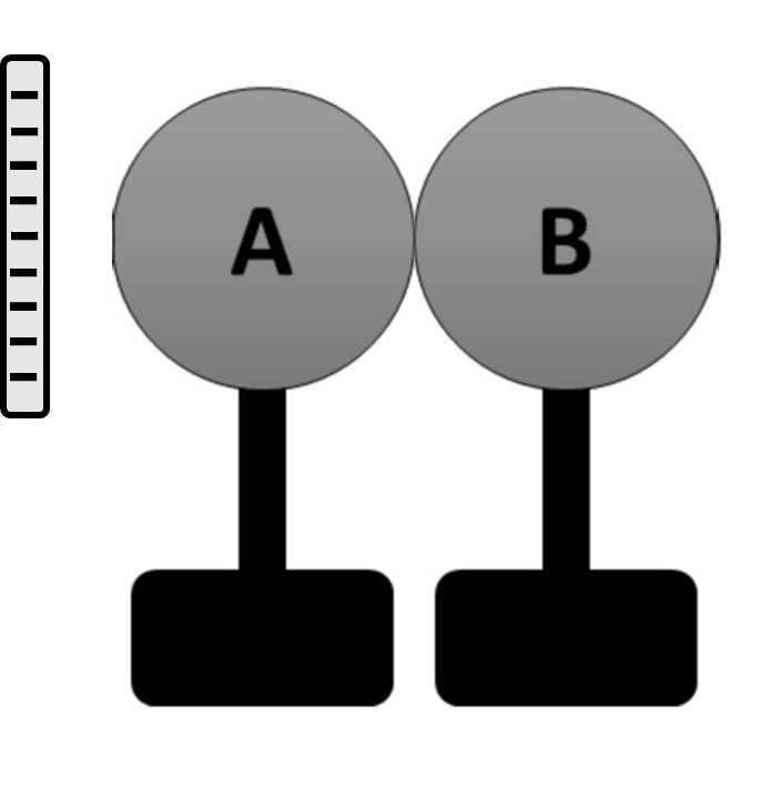 دریافت سوال 11