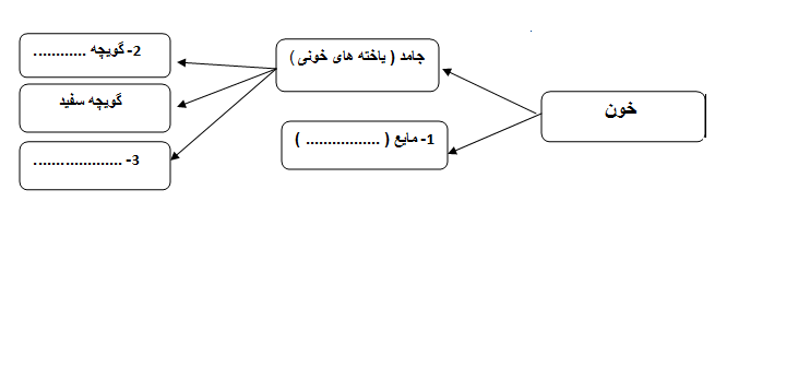 دریافت سوال 19