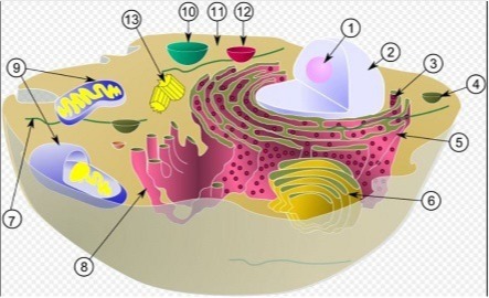 دریافت سوال 37