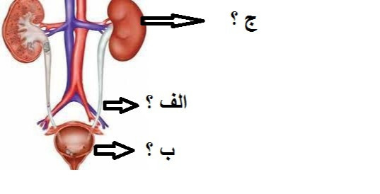 دریافت سوال 40