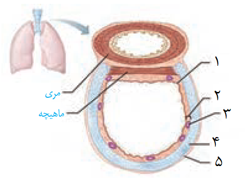 دریافت سوال 3