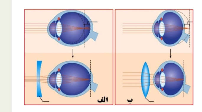 دریافت سوال 2