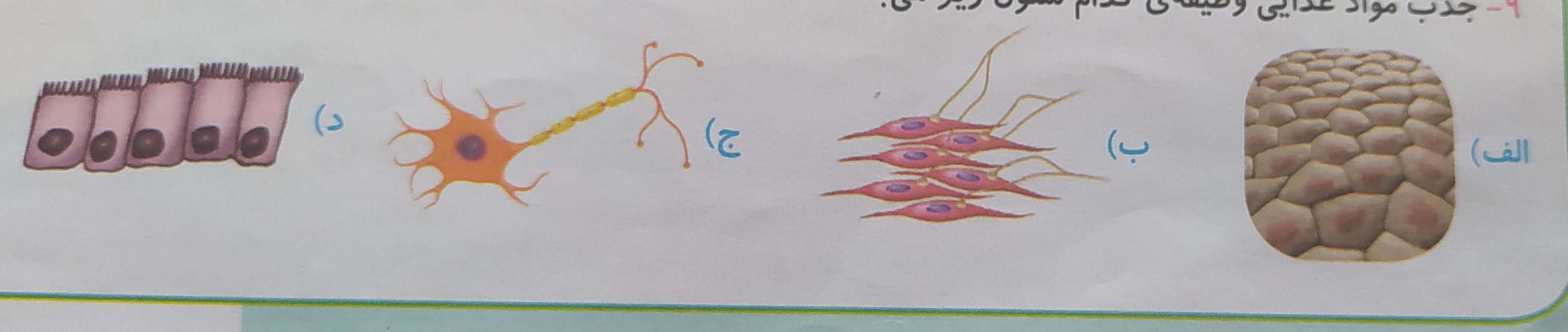 دریافت سوال 17