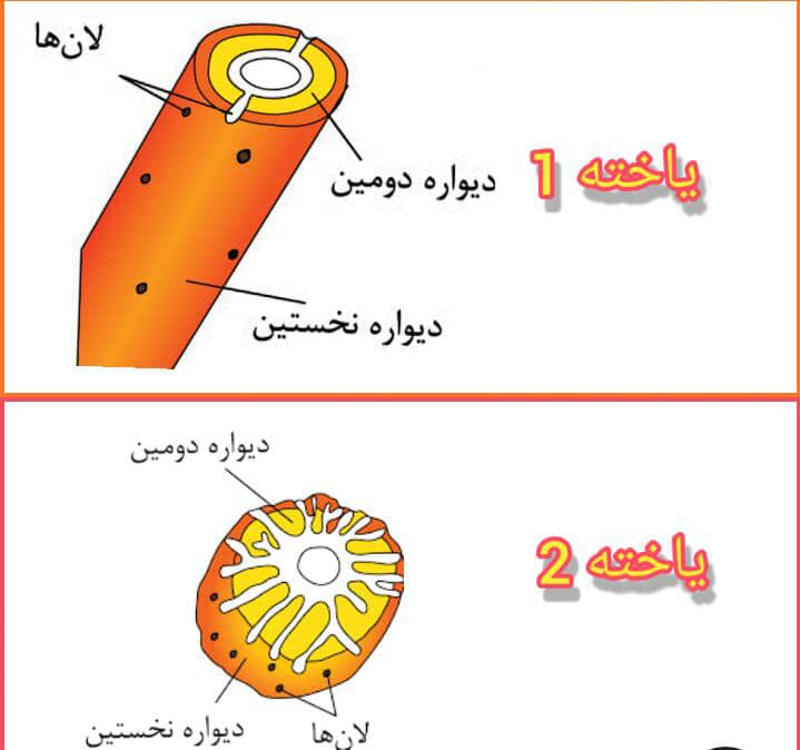 دریافت سوال 36