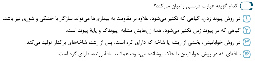 دریافت سوال 55