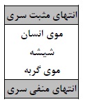 دریافت سوال 8