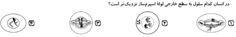 دریافت سوال 20