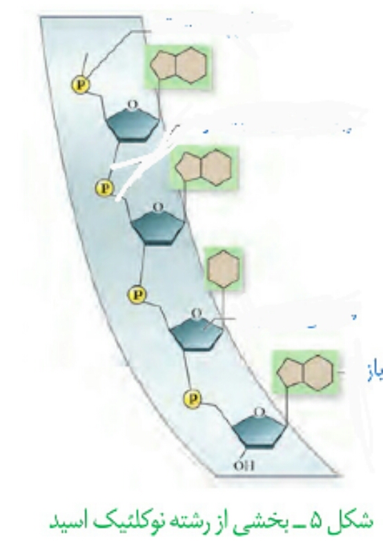 دریافت سوال 8