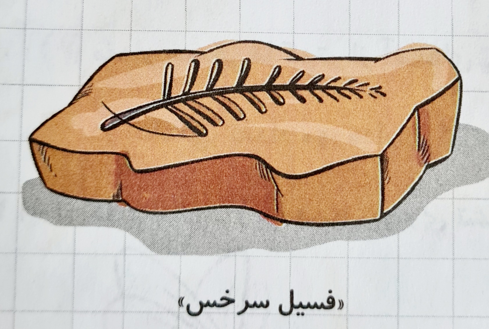 دریافت سوال 13