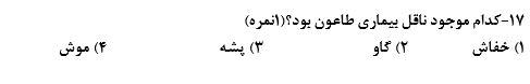 دریافت سوال 17