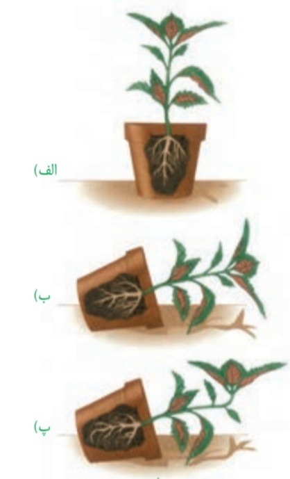 دریافت سوال 26