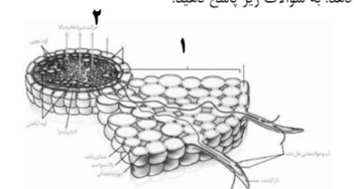 دریافت سوال 16