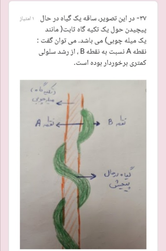 دریافت سوال 14