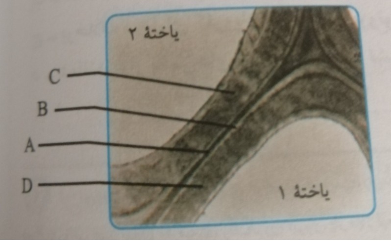 دریافت سوال 4