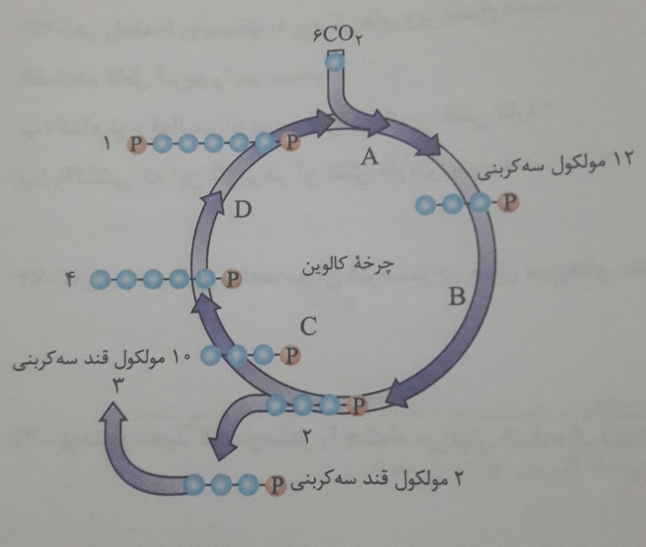 دریافت سوال 18